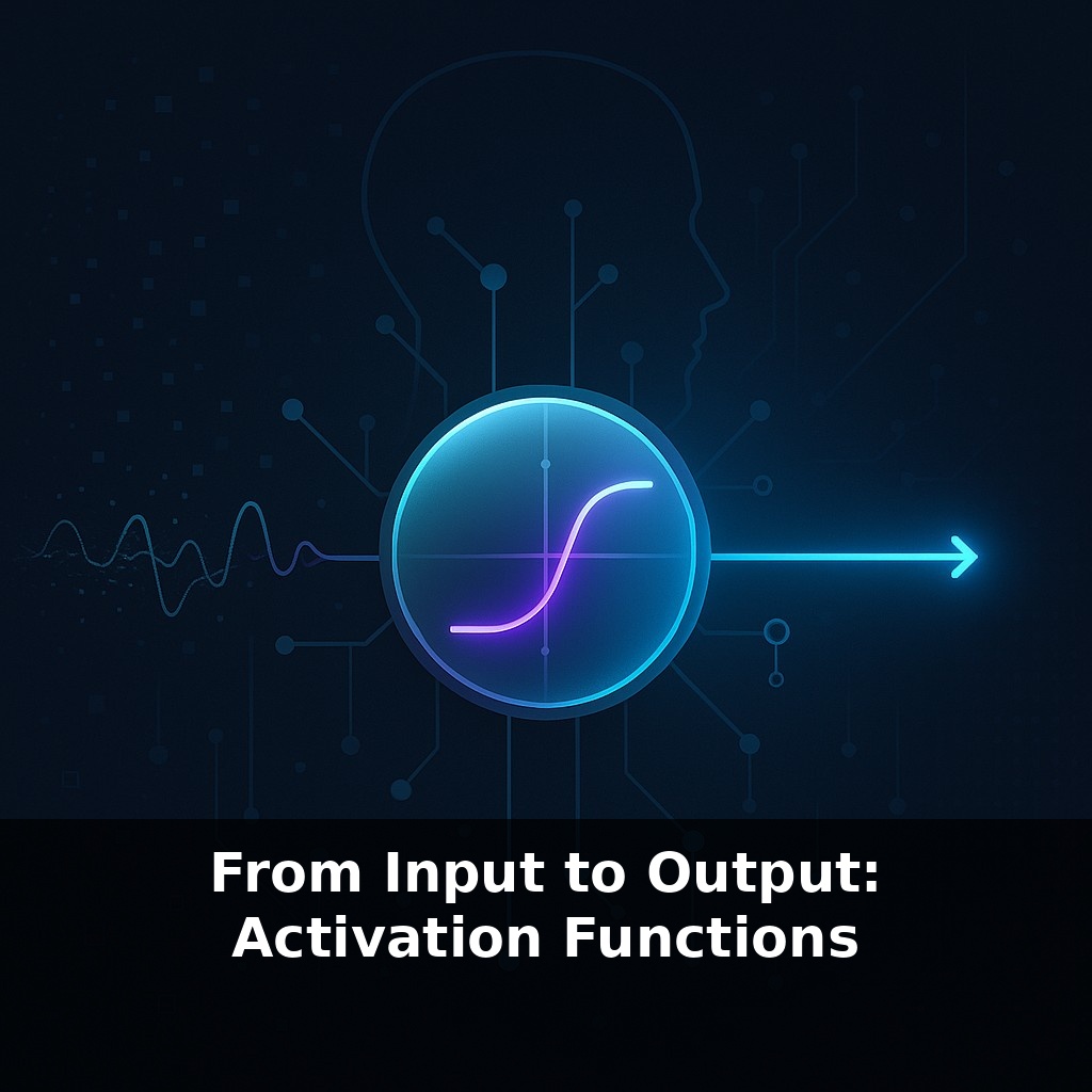 From Input to Output: Activation Functions